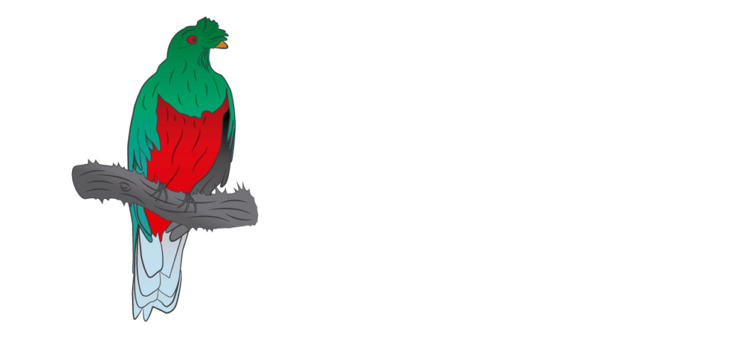Eco Peru Tours
